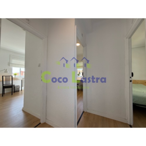 Distribuidor